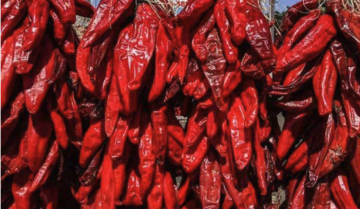  Hatch Chile A Spicy Obsession Sweeping the Markets